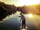 Schools in Session - Schools of Fish in All