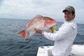 Offshore Shrinkage