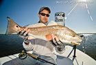 Fishing with Capt. Willy Le