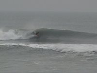 N swell