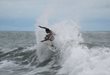 Groms of Esterillos Costa Rica