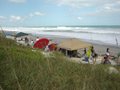 ESA and NSSA Surf Contest's Nov. 2010