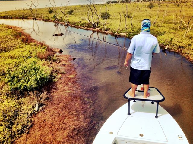 Mosquito Lagoon Fishing By Captain Willy Le