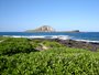 Hawaii Now!