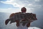 Fishery Management ...