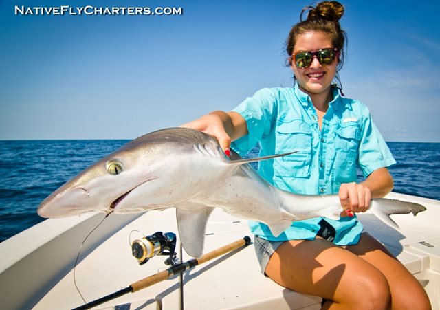 Mullet run off the Beaches of East Central Florida