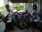 23 tree's at The Surfin Turtle  BBQ Sundays