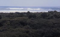 Hurricane Bill   