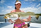 Summer Time in The Indian River Lagoon