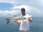 Bonita, Cobia, Day Trips, Permit, Snook