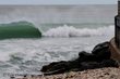 A lil Bit Like Old School - Sebastian  Inlet Peaks