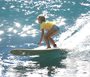 North Shore News