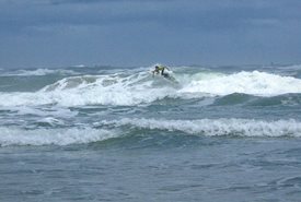 Siren Williams Photo