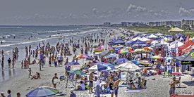NKF Surf Fans