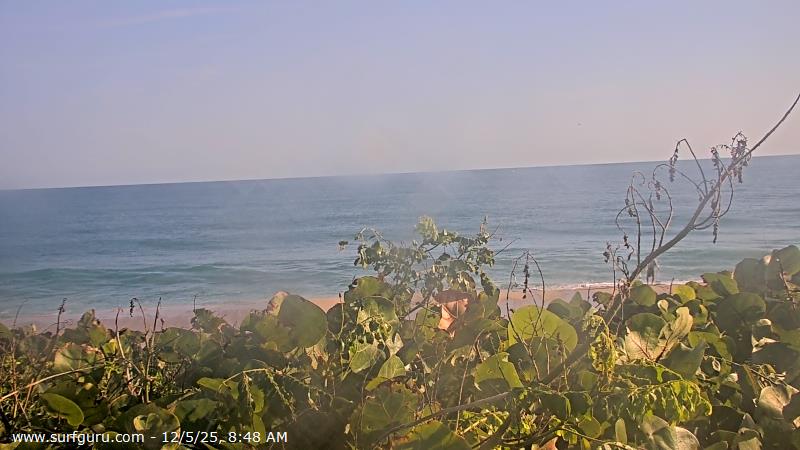Live Surf Cam Photo