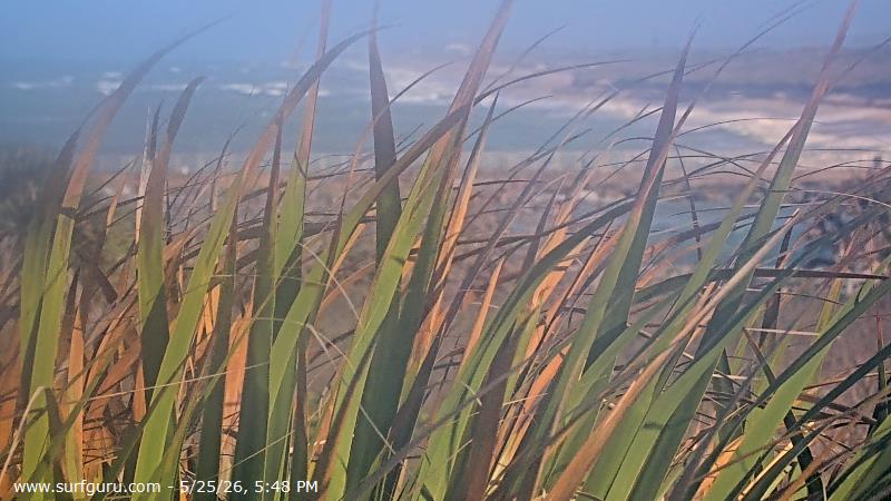 Live Surf Cam Photo