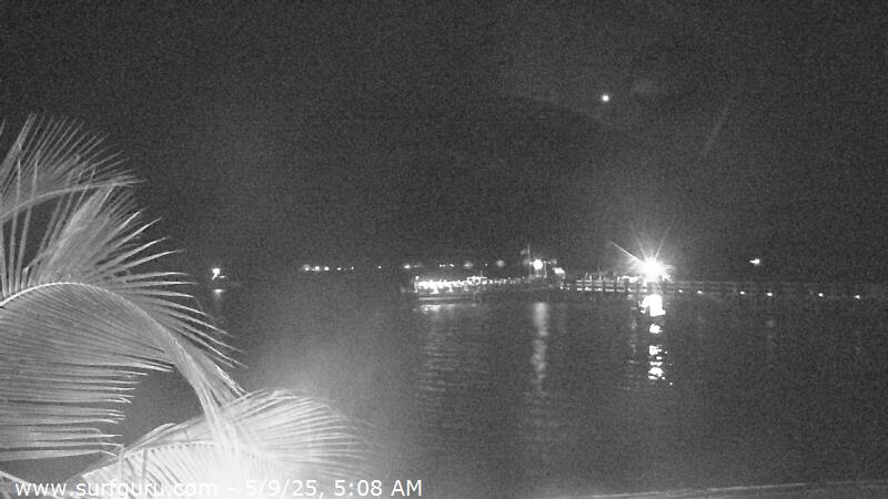 Live Surf Cam Photo