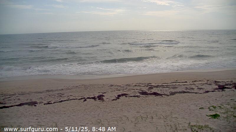 Live Surf Cam Photo