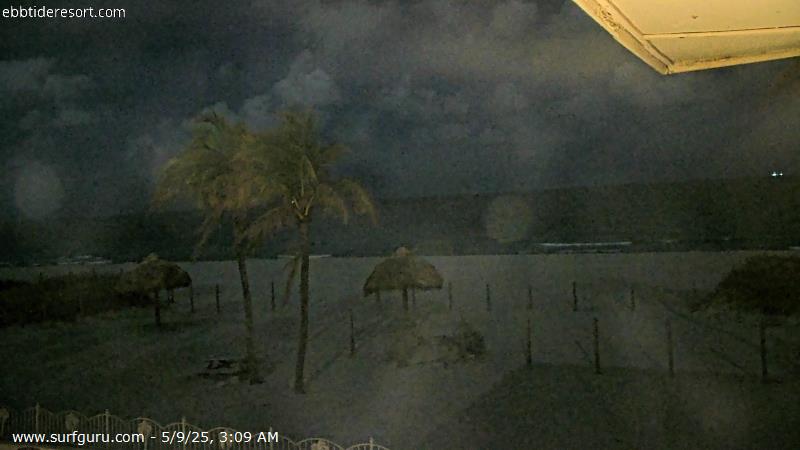 Live Surf Cam Photo