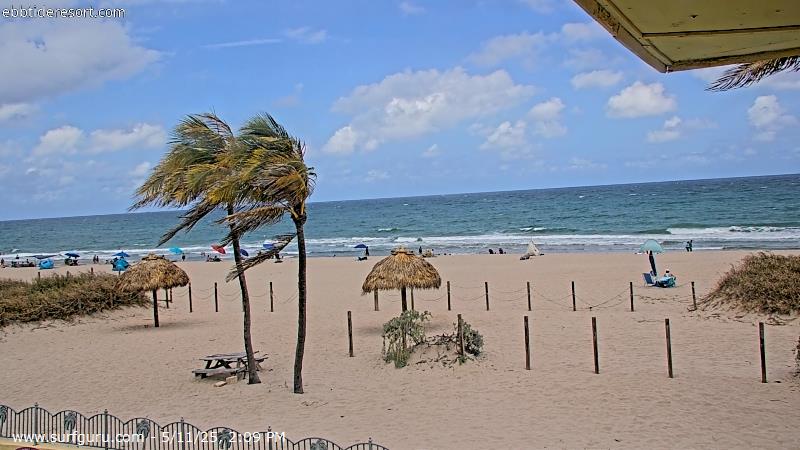 Live Surf Cam Photo