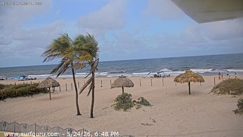 Live Surf Cam Photo