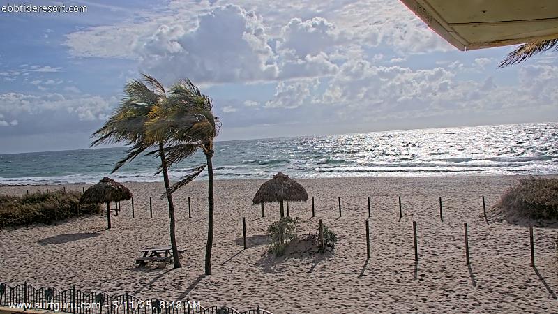 Live Surf Cam Photo