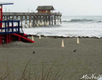 Cocoa Beach Pier December North Swell By David Mcneill