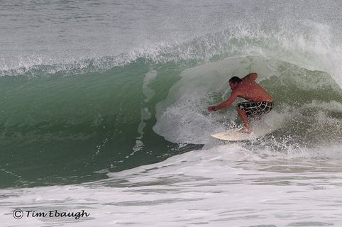 Almost Beryl Swell Taco Stand Thurs Video Report