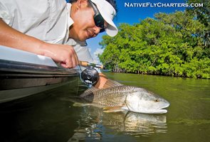 Mosquito Lagoon, Banana River, and Indian River November Report