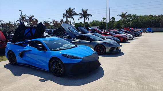 Celebration of Cars Show