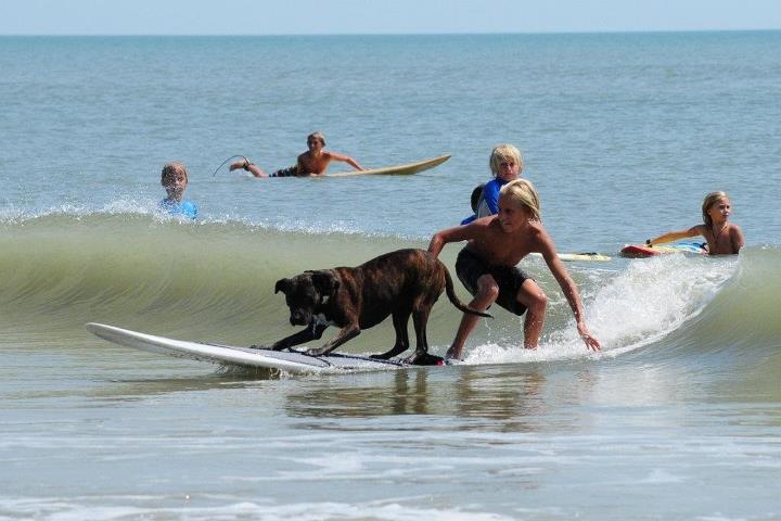 fun surfing