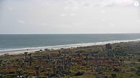 Florida Surf Report/Forecast Jan 20th 2025