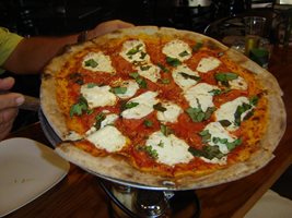 Fired Up Coal Oven Pizzeria in Palm Bay