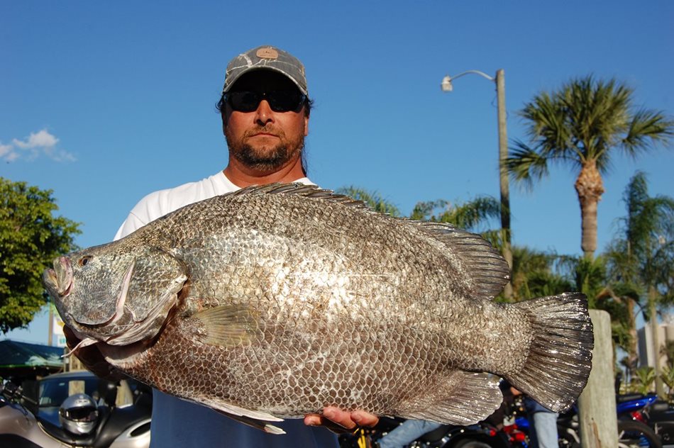 Conditions Improved At Sebastian Inlet – Jetty Fishing Report