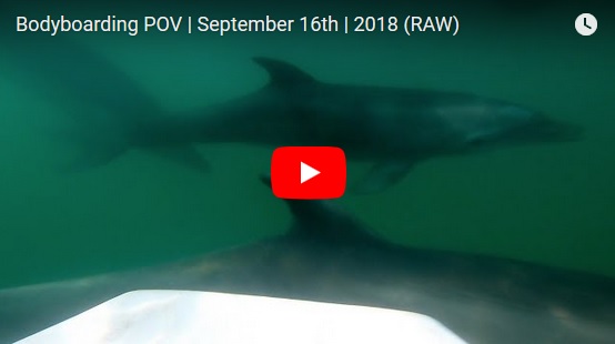 Bodyboarding POV | September 16th | 2018 (RAW)