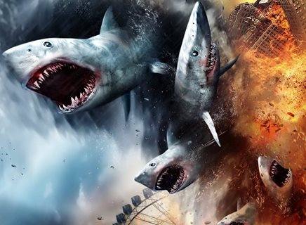 We Were All Shark Bait By CJSporty