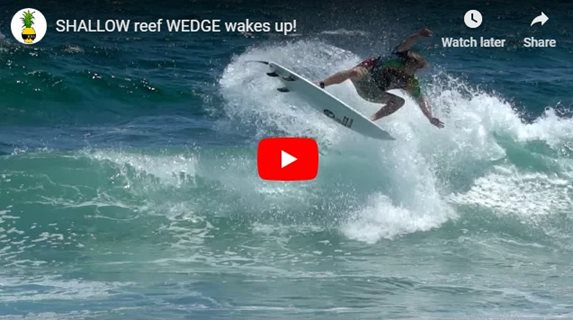 SHALLOW reef WEDGE wakes up!