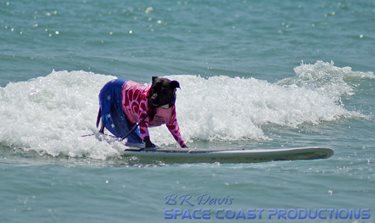 swami on a surfboard!