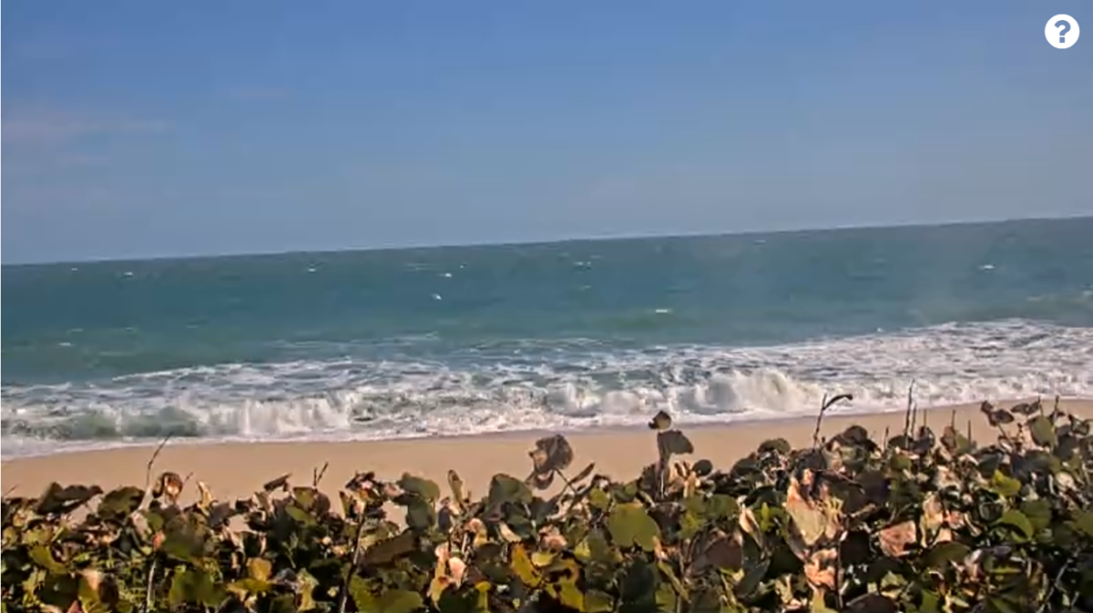 Indialantic Surf 2025-01-15.png Screenshot-2025-01-15-102020.png