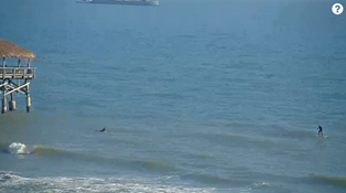 Florida Surf Report/Forecast for Jan 31st 2025