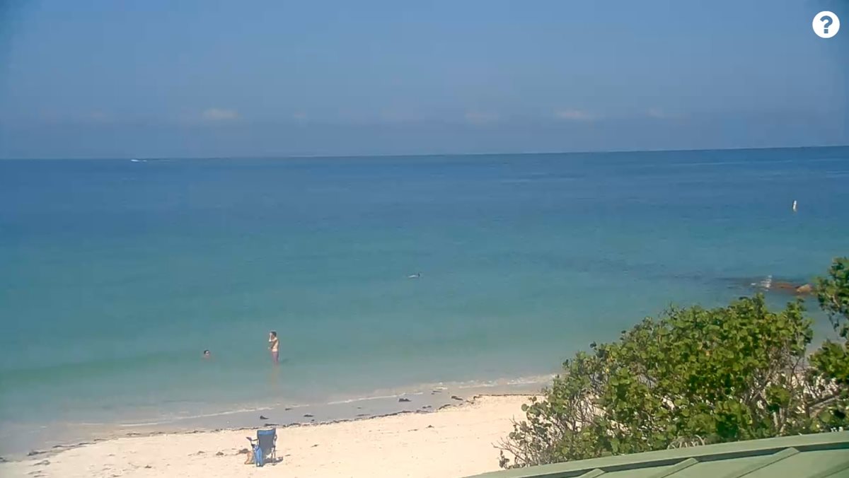 5-24-24-Gulf.jpg