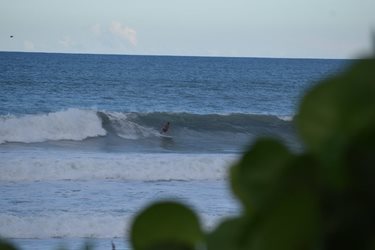 hurricane florence