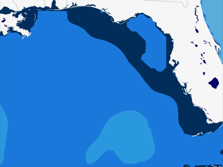 Wave Model Swell Period Forecast