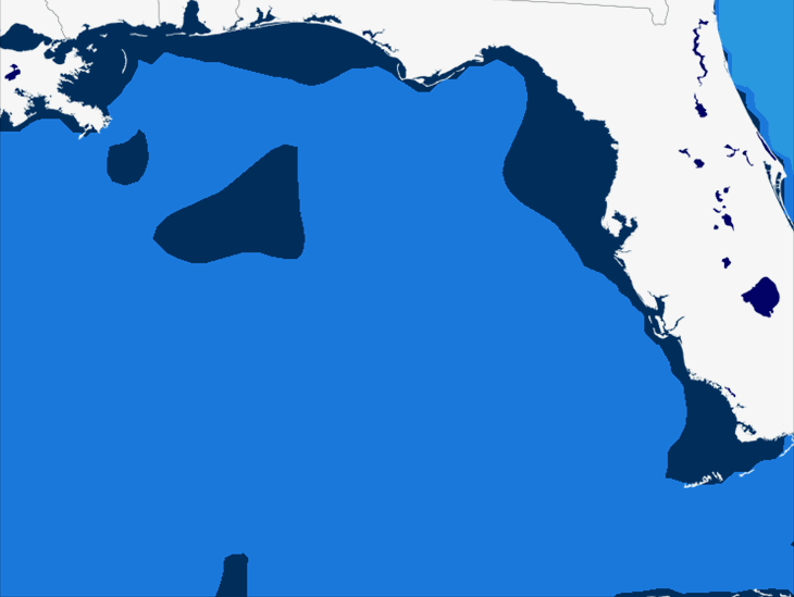 Wave Model Swell Period Forecast