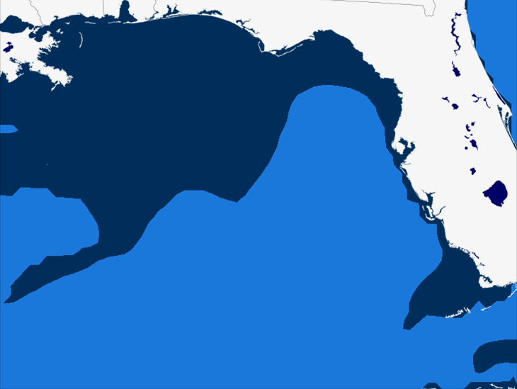 Wave Model Swell Period Forecast