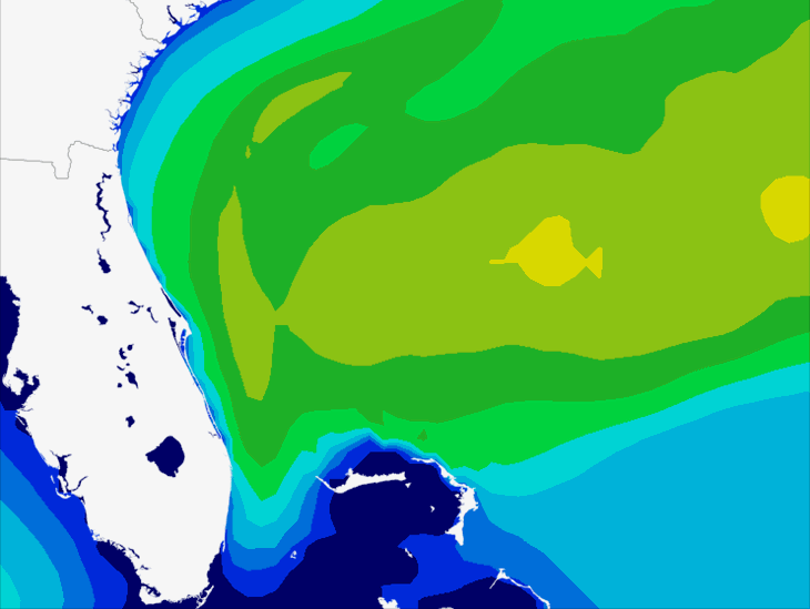 Wave Model Swell Forecast