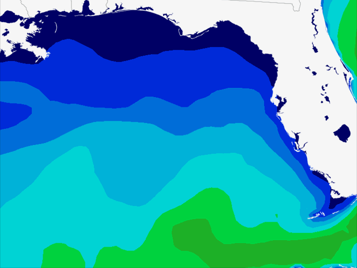 Wave Model Swell Forecast