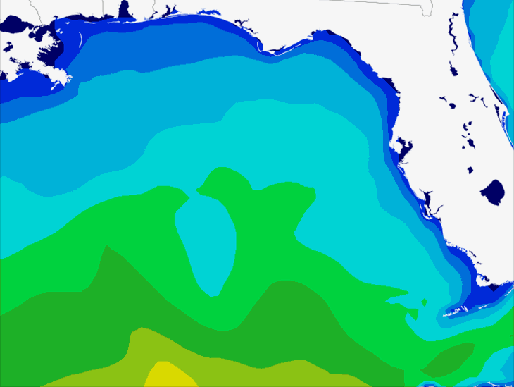 Wave Model Swell Forecast