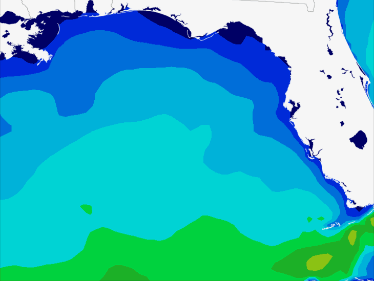 Wave Model Swell Forecast