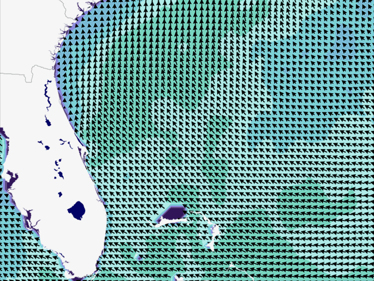 Wave Model Wind Forecast